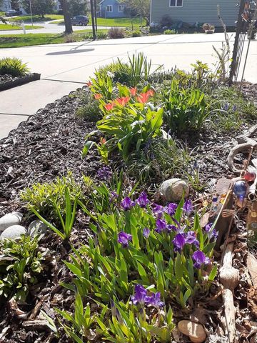 1703 Cumberland Court, Waunakee, WI 53597