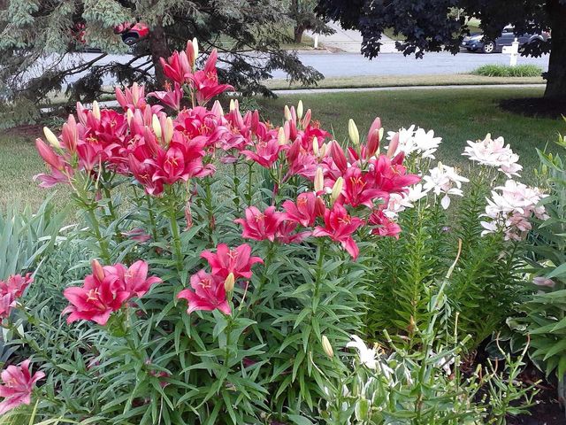 1703 Cumberland Court, Waunakee, WI 53597