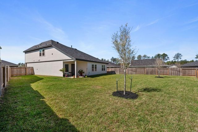 815 Devils Bridge Street, Conroe, TX 77303