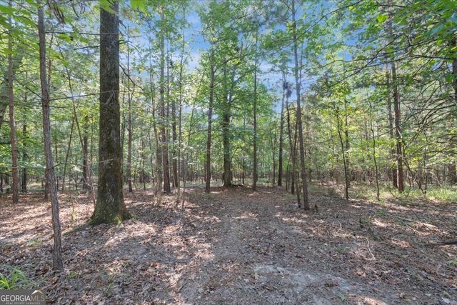 1750 Reids Ferry Road, Buckhead, GA 30625