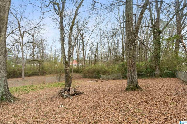 105 W STERRETT STREET, Columbiana, AL 35051