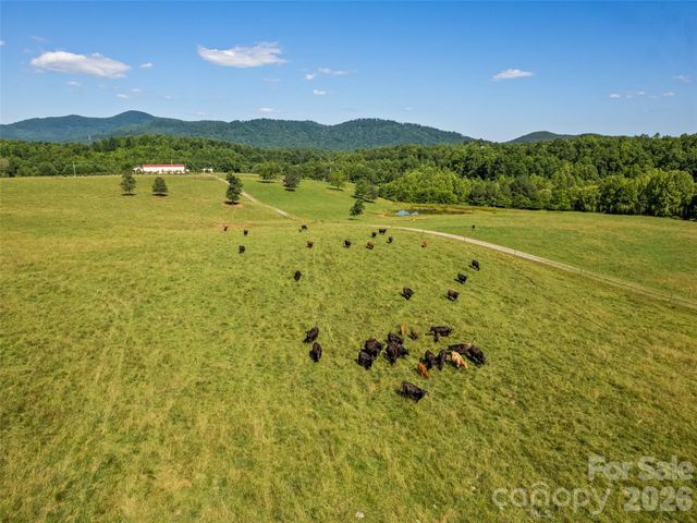 1418 Landis Lane, Nebo, NC 28761