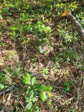 228 Holly Street, Huffman, TX 77336