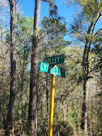 228 Holly Street, Huffman, TX 77336