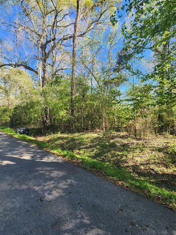 228 Holly Street, Huffman, TX 77336