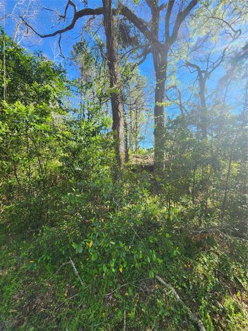 228 Holly Street, Huffman, TX 77336