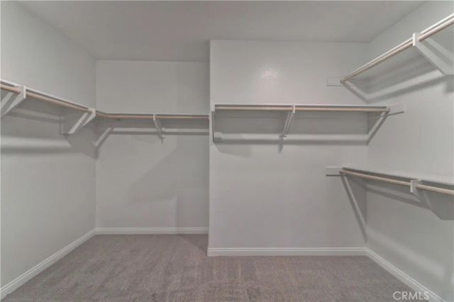 130 spectacle, Irvine, CA 92618