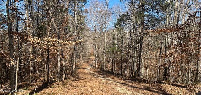 L32 Ted Logsdon Rd, Clarkson, KY 42726