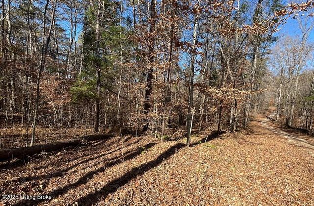 L32 Ted Logsdon Rd, Clarkson, KY 42726