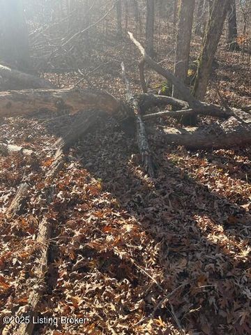 L32 Ted Logsdon Rd, Clarkson, KY 42726