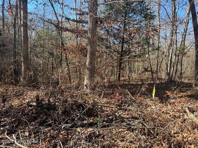 L32 Ted Logsdon Rd, Clarkson, KY 42726