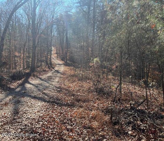 L32 Ted Logsdon Rd, Clarkson, KY 42726