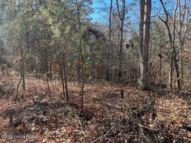 L32 Ted Logsdon Rd, Clarkson, KY 42726