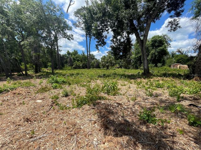 COUNTY ROAD 42, Umatilla, FL 32784