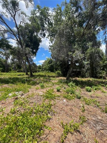 COUNTY ROAD 42, Umatilla, FL 32784