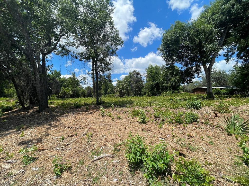 COUNTY ROAD 42, Umatilla, FL 32784