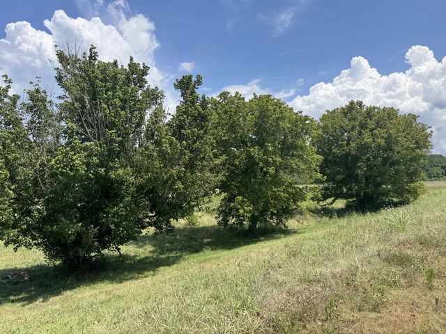 3473 N Grundy Quarles Hwy, Gainesboro, TN 38562