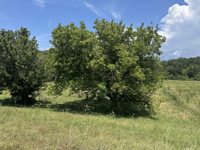 3473 N Grundy Quarles Hwy, Gainesboro, TN 38562