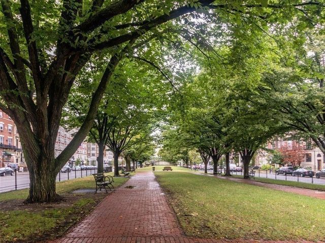 466 Commonwealth Ave 503, Boston, MA 02215