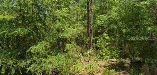 21425 RAINBOW LAKES BOULEVARD, Dunnellon, FL 34431