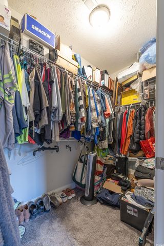 244 Turning Pines Loop, Myrtle Beach, SC 29579