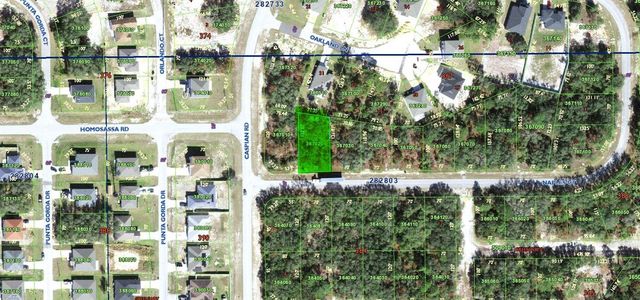 448 NAPLES COURT, Kissimmee, FL 34759