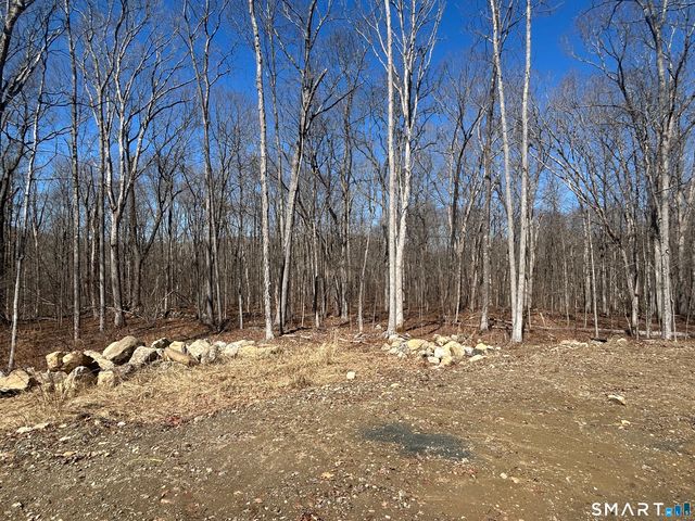 12 Chestnut Lane, Washington, CT 06777