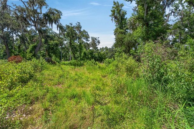 672 HIGHWAY, Lithia, FL 33547