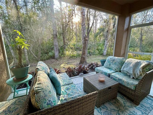 4244 PRESERVE PLACE, Palm Harbor, FL 34685