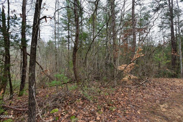 Lot 23 Alpine Ridge Way, Sevierville, TN 37876