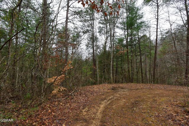 Lot 23 Alpine Ridge Way, Sevierville, TN 37876