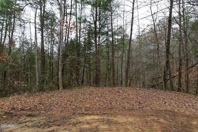Lot 23 Alpine Ridge Way, Sevierville, TN 37876