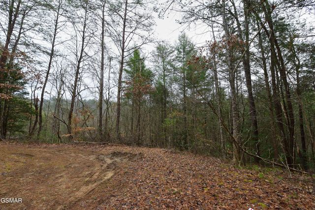 Lot 23 Alpine Ridge Way, Sevierville, TN 37876