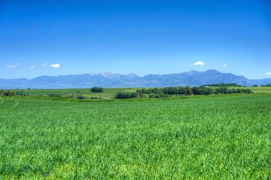 13830 (Tract A-D) Cottonwood Road, Bozeman, MT 59718 photo 3