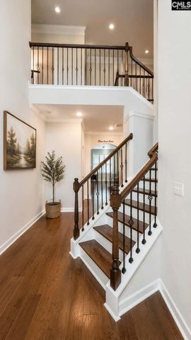 1241 Danvers Lane, Chapin, SC 29036