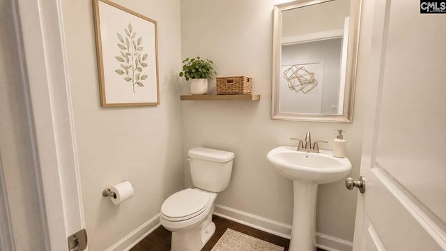 1241 Danvers Lane, Chapin, SC 29036