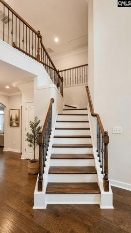 1241 Danvers Lane, Chapin, SC 29036