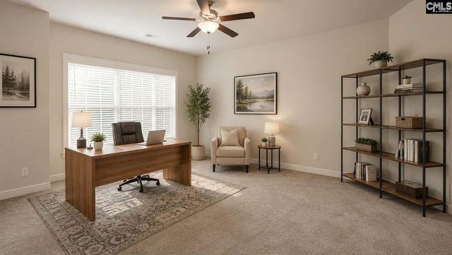 1241 Danvers Lane, Chapin, SC 29036