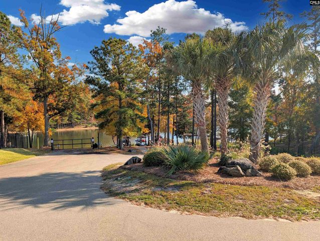 1241 Danvers Lane, Chapin, SC 29036