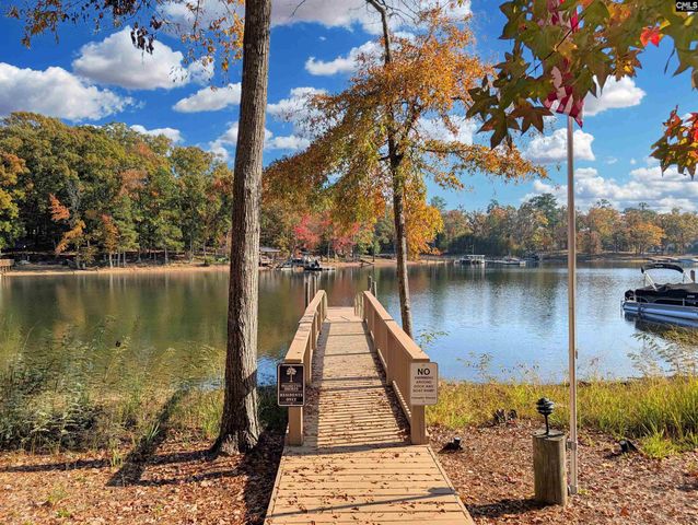 1241 Danvers Lane, Chapin, SC 29036