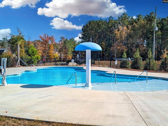 1241 Danvers Lane, Chapin, SC 29036