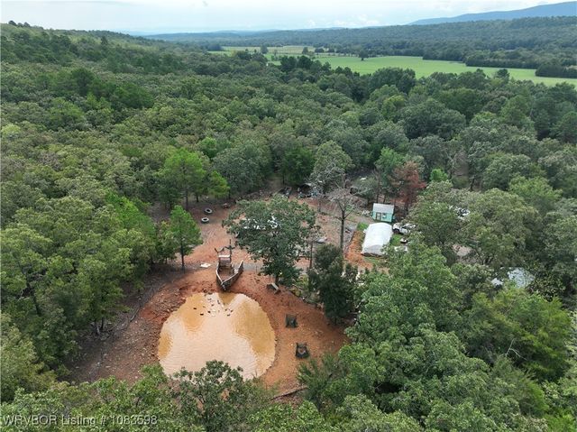 29540 Welch Loop Road, Heavener, OK 74937