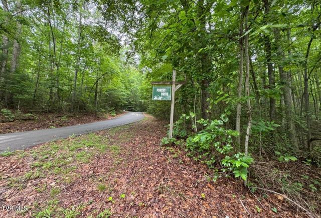 Tbd Black Bear Drive, Butler, TN 37640