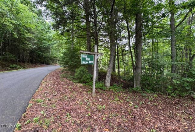 Tbd Black Bear Drive, Butler, TN 37640