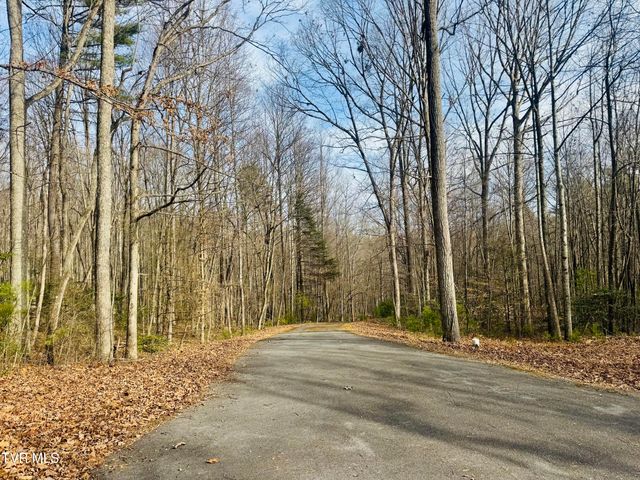 Tbd Black Bear Drive, Butler, TN 37640