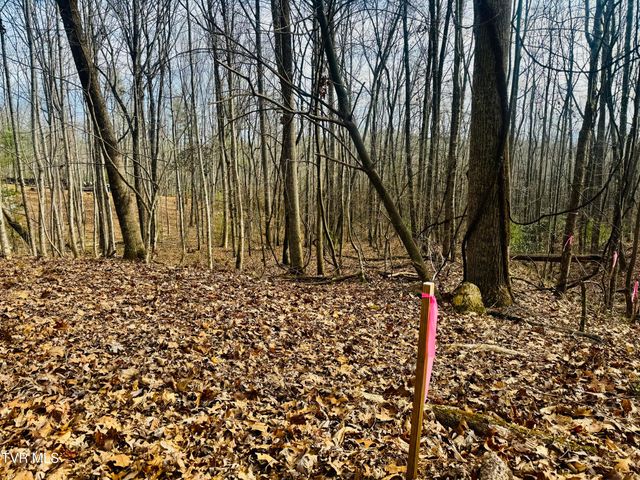 Tbd Black Bear Drive, Butler, TN 37640