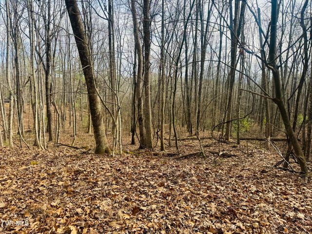 Tbd Black Bear Drive, Butler, TN 37640