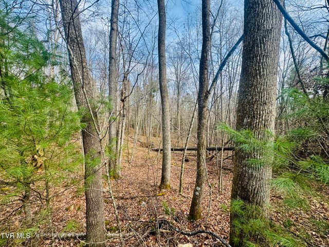 Tbd Black Bear Drive, Butler, TN 37640