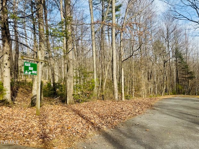 Tbd Black Bear Drive, Butler, TN 37640