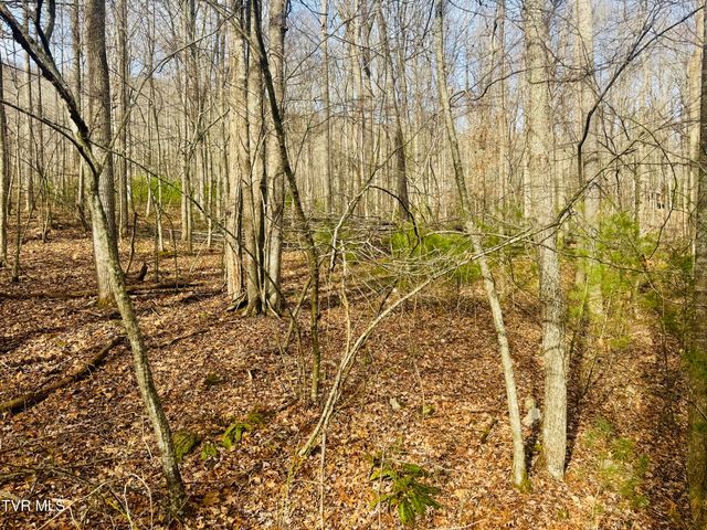 Tbd Black Bear Drive, Butler, TN 37640